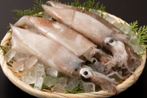 原隻魷魚