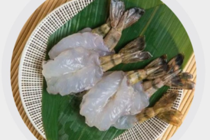 生虎蝦