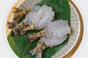 生虎蝦
